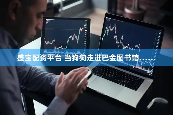盛宝配资平台 当狗狗走进巴金图书馆……