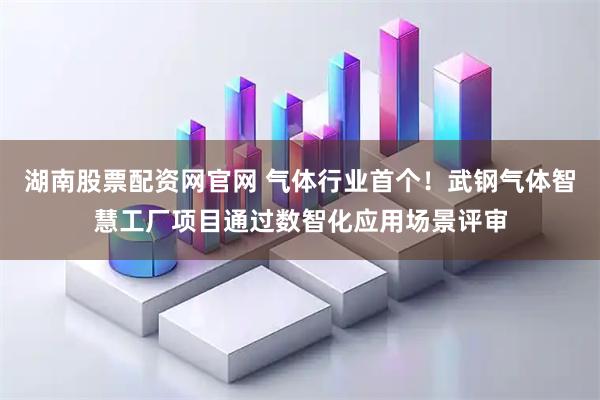 湖南股票配资网官网 气体行业首个！武钢气体智慧工厂项目通过数智化应用场景评审