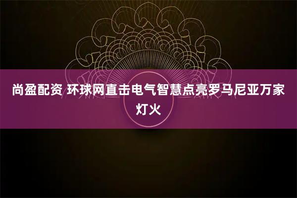 尚盈配资 环球网直击电气智慧点亮罗马尼亚万家灯火
