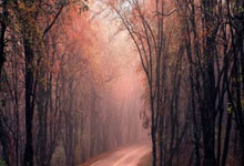 有什么软件可以买股票:线上股票配资门户-机构：看好具身智能机器人未来十年以上的发展机遇