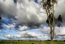 股票开户需要多少钱才能激活:现在投资股票哪个好-吴清：持续巩固资本市场回稳向好势头 加快推进新一轮资本市场改革开放