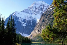 瑞金配资:在手机上怎么投资股票-被裁定大部分关税“非法”！特朗普政府打到最高法 前景如何？输了要赔光？